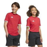 ISD Lions x adidas Entrada 26 Kids T-Shirt Kinder - team power red 2/white