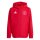 ISD Lions x adidas Entrada 26 Allwetter Jacke Kinder - team power red 2/white