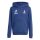 Glehner Tennis Club x adidas Entrada 26 Hoodie Kinder - team navy blue 2/white