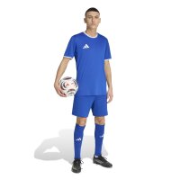 FC Büderich x adidas Entrada 26 Trikot Herren - team royal blue/white