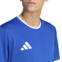 FC Büderich x adidas Entrada 26 Trikot Herren - team royal blue/white