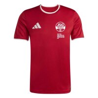 JSG Delhoven-Straberg x adidas Entrada 26 Trikot Herren -...