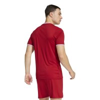 JSG Delhoven-Straberg x adidas Entrada 26 Trikot Herren - team power red 2/white