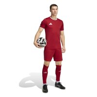 JSG Delhoven-Straberg x adidas Entrada 26 Trikot Herren - team power red 2/white