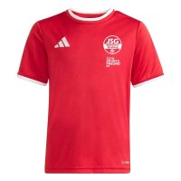 JSG Delhoven-Straberg x adidas Entrada 26 Trikot Kinder -...