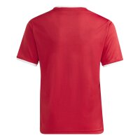 JSG Delhoven-Straberg x adidas Entrada 26 Trikot Kinder - team power red 2/white