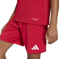 JSG Delhoven-Straberg x adidas Entrada 26 Trikot Kinder - team power red 2/white