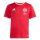 JSG Delhoven-Straberg x adidas Entrada 26 Trikot Kinder - team power red 2/white