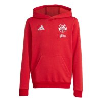 JSG Delhoven-Straberg x adidas Entrada 26 Hoodie Kinder -...