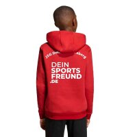 JSG Delhoven-Straberg x adidas Entrada 26 Hoodie Kinder -...