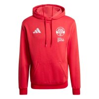 JSG Delhoven-Straberg x adidas Entrada 26 Hoodie Herren -...