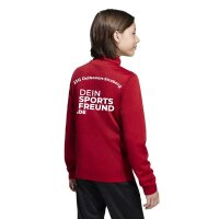 JSG Delhoven-Straberg x adidas Entrada 26 Kids...