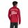 JSG Delhoven-Straberg x adidas Entrada 26 Trainingsoberteil Herren - team power red 2/white