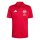 JSG Delhoven-Straberg x adidas Entrada 26 Poloshirt Herren - team power red 2/white