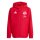 JSG Delhoven-Straberg x adidas Entrada 26 Allwetter Jacke Kinder - team power red 2/white