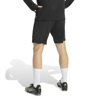 JSG Delhoven-Straberg x adidas Entrada 26 Trainingsshorts...