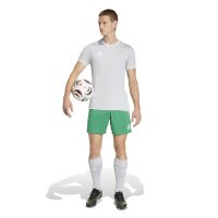 TC Gnadental x adidas Entrada 26 Trikot Herren - team light grey/white
