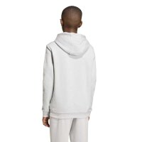 TC Gnadental x adidas Entrada 26 Hoodie Kinder - team...