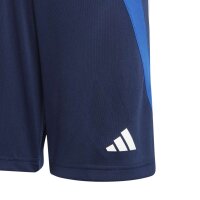 adidas Fortore 23 kurze Hose Kinder - tenabl/royblu/white/t