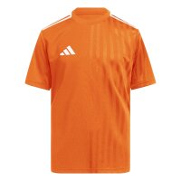 adidas Campeon 25 Trikot Kinder - teaora/white