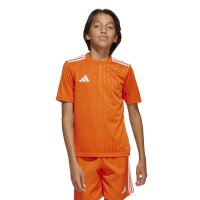 adidas Campeon 25 Trikot Kinder - teaora/white