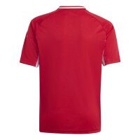 adidas Tiro 25 Competition Match Short Trikot Kinder -...