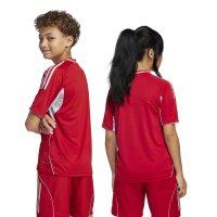 adidas Tiro 25 Competition Match Short Trikot Kinder - tepore/tmlggr