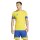 adidas Squadra 25 Short Trikot Herren - tmyell/royblu