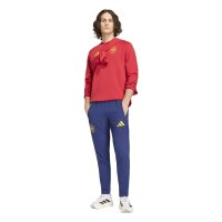 adidas Spanien Tiro Travel Sweatshirt Herren - tepore