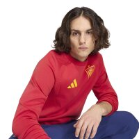 adidas Spanien Tiro Travel Sweatshirt Herren - tepore