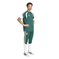 adidas Italien 26 Tiro Sweat T-Shirt Herren - cgreen