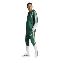 adidas Italien 26 Tiro Allweather Jacken Herren - cgreen