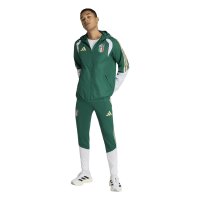 adidas Italien 26 Tiro Allweather Jacken Herren - cgreen