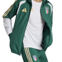 adidas Italien 26 Tiro Allweather Jacken Herren - cgreen