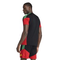 adidas Jamaika 26 x Bob Marley Tiro Training Trikot Herren - black