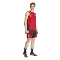 adidas DFB Ärmellos Trainingstrikot Herren WM2026 - rot/gold/schwarz