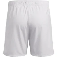adidas Tastigo 25 Shorts Herren - grau/weiß