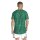 adidas Mexiko 26 Heim Authentic Trikot Herren - bgreen
