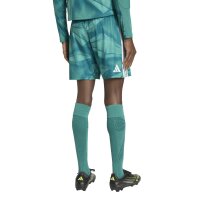 adidas Deutschland 26 Heim Authentic Torwart kurze Hose Herren - actgrn