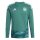 adidas Deutschland 26 Heim Torwart Trikot Herren - actgrn