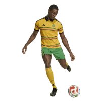 adidas Jamaika 26 x Bob Marley Heim kurze Hose Herren - vivgrn