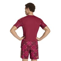 adidas Italien 26 Heim Torwart Trikot Herren - tecobu