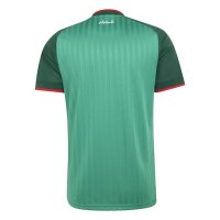 adidas Algerien 26 Auswärts Trikot Herren - cougrn
