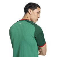 adidas Algerien 26 Auswärts Trikot Herren - cougrn