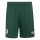 adidas Algerien 26 Auswärts kurze Hose Herren - drkgrn