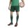 adidas Algerien 26 Auswärts kurze Hose Herren - drkgrn