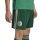 adidas Algerien 26 Auswärts kurze Hose Herren - drkgrn