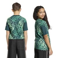 adidas Mexiko 26 Heim Pre Match Trikot Kinder - aurivy