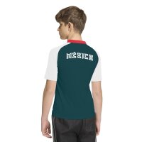 adidas Mexiko 26 Auswärts Pre Match Trikot Kinder - white/aurivy