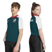 adidas Mexiko 26 Auswärts Pre Match Trikot Kinder - white/aurivy